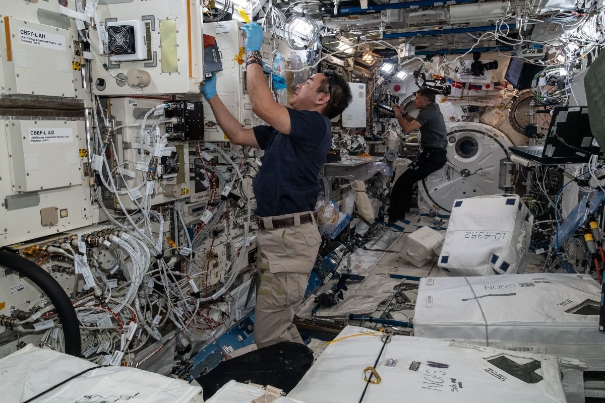 「きぼう」の細胞培養装置（CBEF）に細胞試料を挿入する星出宇宙飛行士の様子 ©︎JAXA/NASA